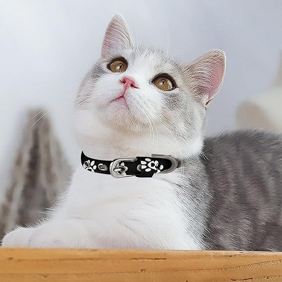 Basic Adjustable Collars 1 basic adjustable cat collars