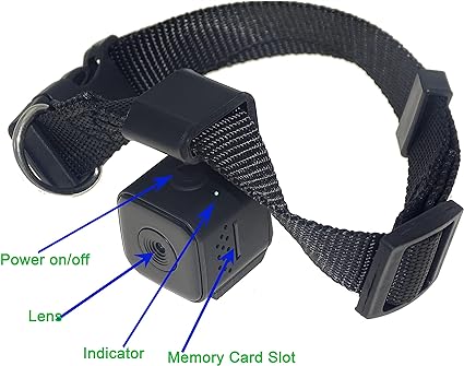 Camera Cat Collar 1 Cat Collar with Camera