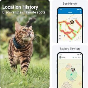 Training Collars 2 Cat Collar-Cat Collar tracker